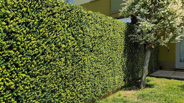 Zeleni zid od DIVY BUXUS umjetne ograde