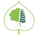 LIPA L.P. d.o.o. projektiranje, uređenje i održavanje zelenih površina logo