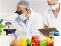 ISO 22000:2005 sustav upravljanja sigurnošću hrane